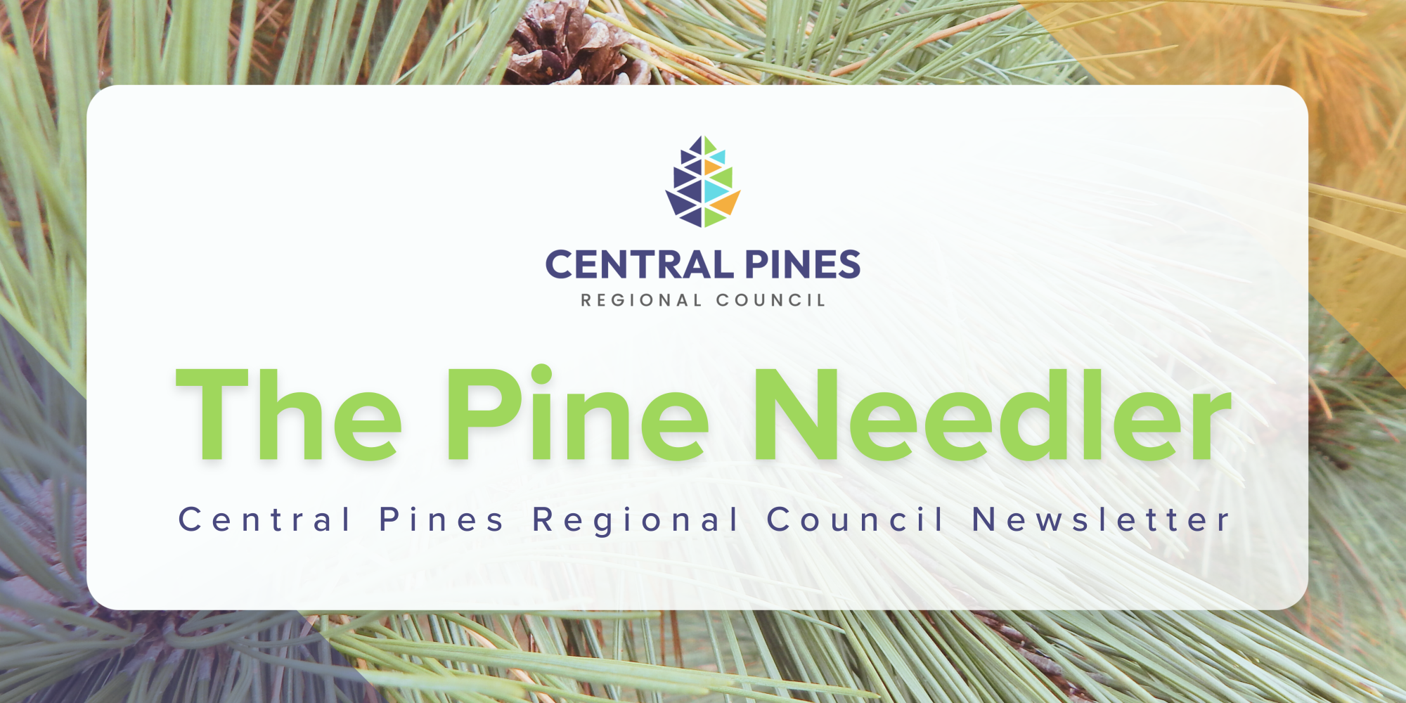 The Pine Needler Banner